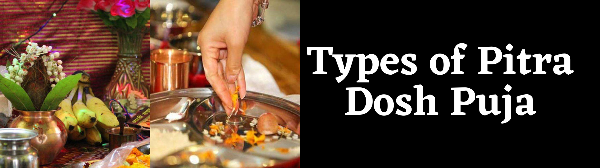 types of pitra dosh puja<br />
