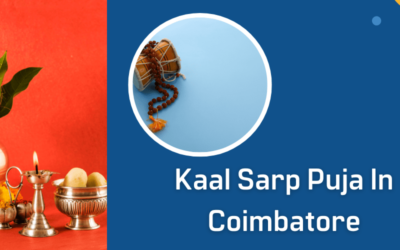  Kaal Sarp Puja in Coimbatore: Resolving Dosha and Finding Harmony