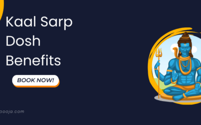 Kaal Sarp Dosh Benefits: Complete Tutorial