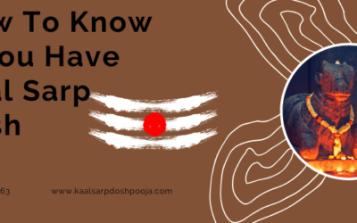 How to Know if You Have Kaal Sarp Dosh: Bad effects and Remedies