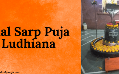 Unlocking the Mysteries of Kaal Sarp Puja Ludhiana: A Complete Guide