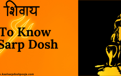 Understanding How To Know Kaal Sarp Dosh: Types, Symptoms, and Remedies