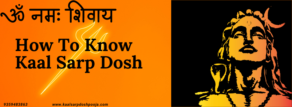 Understanding How To Know Kaal Sarp Dosh: Types, Symptoms, and Remedies