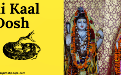 Vasuki Kaal Sarp Dosh: Understanding, Diagnosis, Treatment, and Prevention