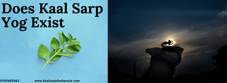 Understanding Does Kaal Sarp Yog Exist: Origins, Effects, and Remedies