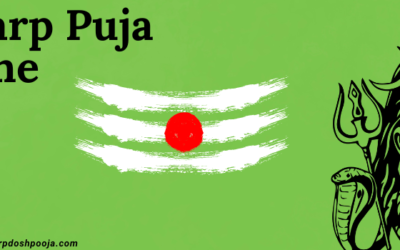 Kaal Sarp Puja Thane: Gain Spiritual Peace