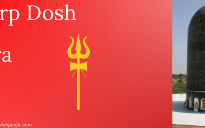 Disclosing the Mystery: Kaal Sarp Dosh Puja Mathura