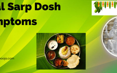 Kaal Sarp Dosh Symptoms: Book for complete dosh nivaran