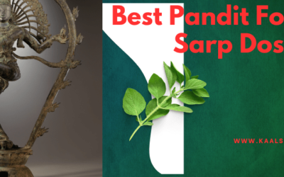 Find the Best Pandit for Kaal Sarp Dosh Puja: Expert Puja Services