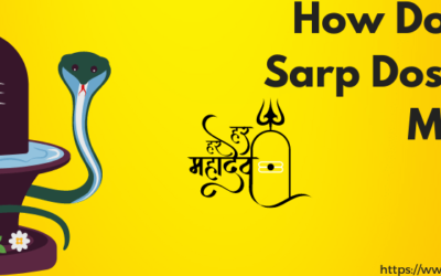Understanding How Does Kaal Sarp Dosh Affect Marriage: Causes, Effects, and Remedies