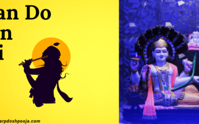 Who Can Do Narayan Nagbali: Ritual, Significance, and Procedure Explained