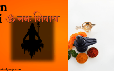 Understanding Narayan Nagbali: Ritual, Significance, and Procedure