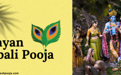 Explore Narayan Nagbali Pooja: Rituals, Significance, and Procedure