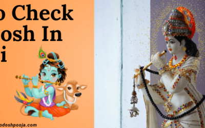 How To Check Pitra Dosh in Kundali: A Comprehensive Guide to Kundali Analysis  