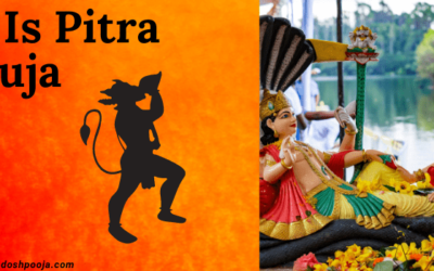 Where is Pitra Dosh Puja Done? Complete Guide to Locations and Rituals