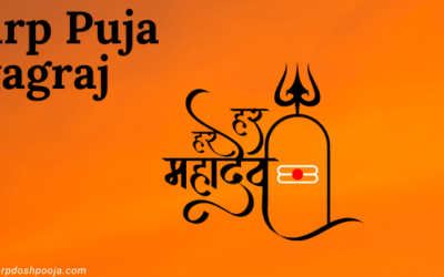Unlocking the Power of Kaal Sarp Puja Prayagraj: Guide