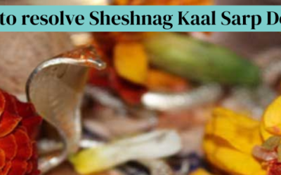 How to resolve Sheshnag Kaal Sarp Dosh?