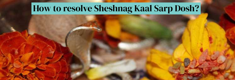 How to resolve Sheshnag Kaal Sarp Dosh?