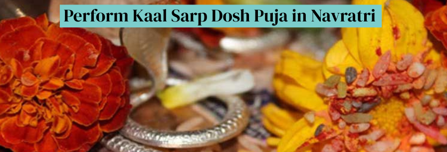 Perform Kaal Sarp Dosh Puja in Navratri